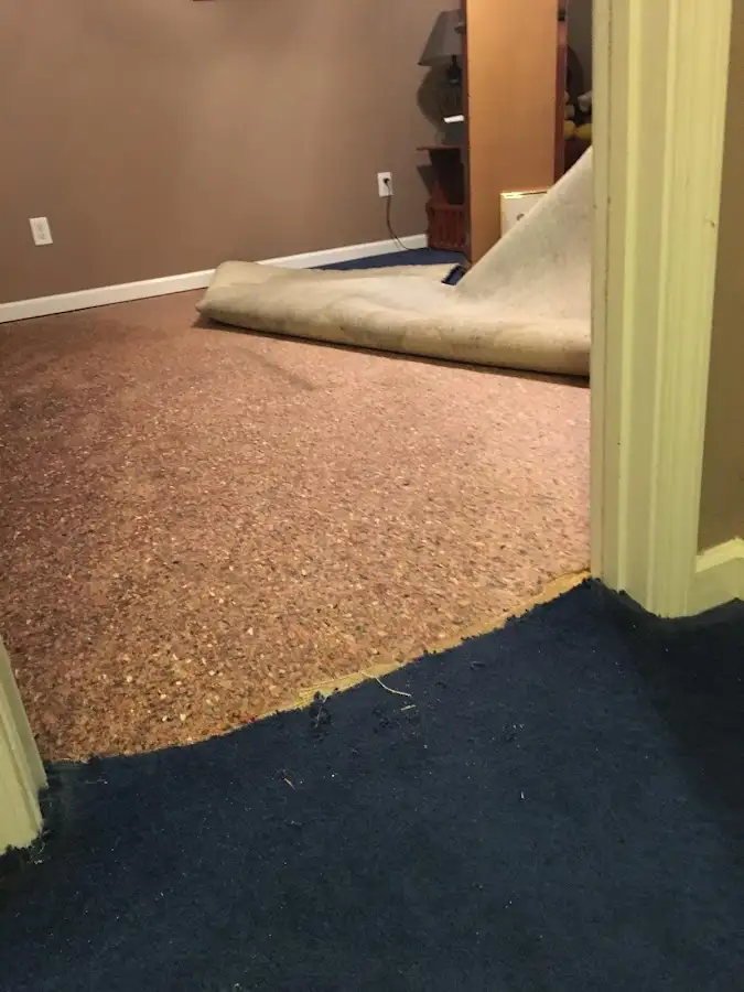 Carpet pad removal revealing water damage during Drying & Dehumidification in Zion